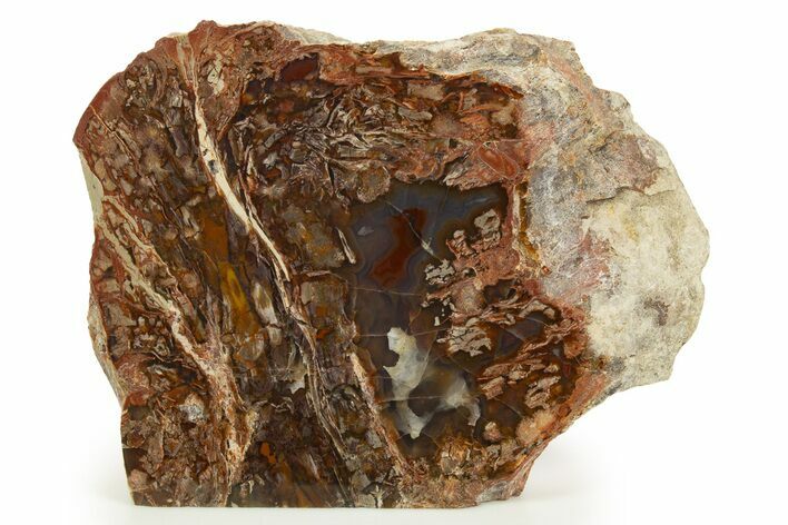 Polished Yellow Cat Jasper/Agate Replaced Petrified Wood - Utah #322650